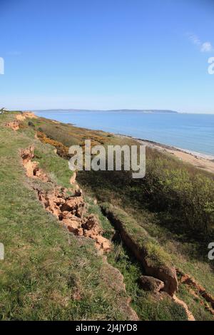 Effetti dell'erosione costiera a Barton sul mare, Hampshire Regno Unito Aprile 2022 Foto Stock