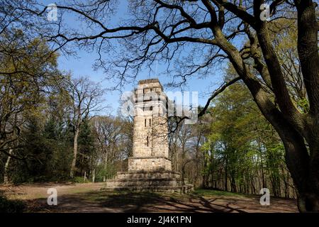 Bismarck Tower Forest 'Hoher Busch' Foto Stock