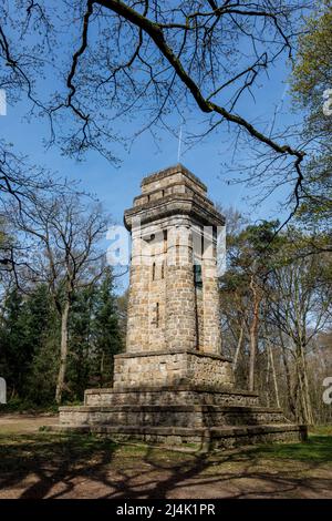 Bismarck Tower Forest 'Hoher Busch' Foto Stock