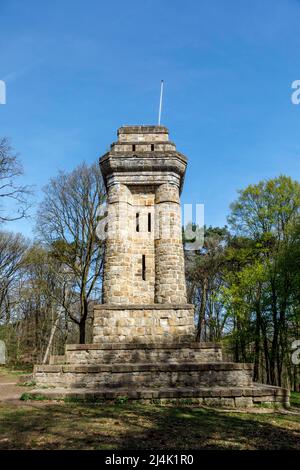 Bismarck Tower Forest 'Hoher Busch' Foto Stock