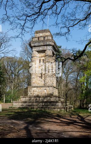 Bismarck Tower Forest 'Hoher Busch' Foto Stock