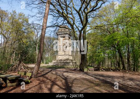 Bismarck Tower Forest 'Hoher Busch' Foto Stock