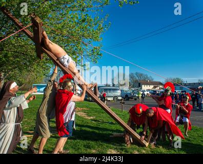 Bensalem, Stati Uniti. 15th Apr 2022. Juan Navarro ritrae Gesù è posto sulla croce durante la presentazione annuale delle stazioni della Croce Venerdì, 15 aprile 2022 a nostra Signora di Fatima a Bensalem, Pennsylvania. Centinaia di parrocchiani di San Carlo Borromeo e membri della comunità di lingua spagnola partecipano all'evento del Venerdì Santo. Nella Chiesa cattolica, i cristiani credono che il Cristo sia stato crocifisso e sepolto il Venerdì Santo, poi risorto dai morti la Domenica di Pasqua. Credit: William Thomas Cain/Alamy Live News Foto Stock