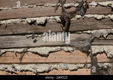 particolare di ristrutturazione su casa medievale, suffolk Foto Stock