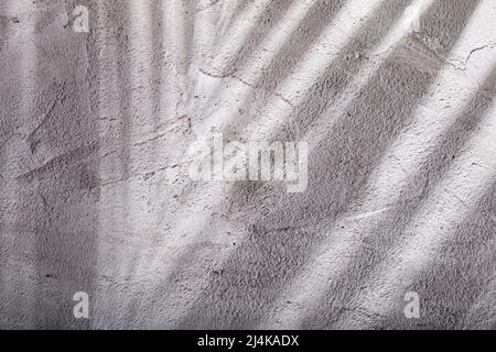 parete di fondo in cemento con ombra di palma proiettata su di essa Foto Stock