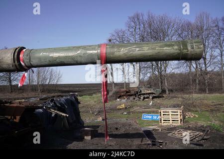 SUMY REGIONE, UCRAINA - 15 APRILE 2022 - il barile di un carro armato russo distrutto è raffigurato nella regione di Sumy, Ucraina nord-orientale. Foto di Anna Voitenko/Ukrinform/ABACAPRESS.COM Foto Stock