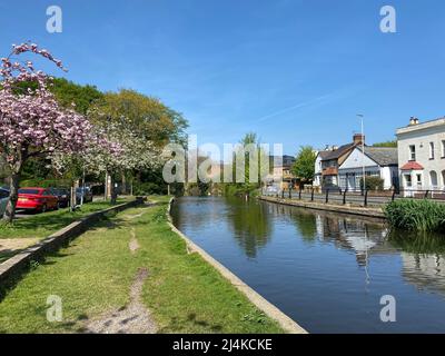 Dopo una lunga primavera invernale finalmente arriva nel Regno Unito nel fine settimana di Pasqua . Fiori fioriscono e l'aria si sente fresca. Il pubblico britannico sarà in grado di salvare una fortuna sul riscaldamento bollette ora i prezzi sono raddoppiati, si spera che questo glorioso tempo durerà per i prossimi 6 mesi ... La temperatura è stata 18 c a 21 c durante il fine settimana ... Foto Stock