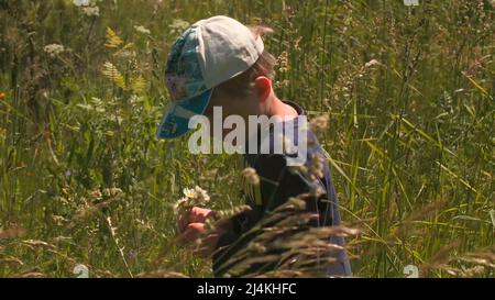 Ragazzo raccoglie margherite. Creativa. Carino ragazzo raccoglie bouquet di fiori selvatici. Bel ragazzo raccoglie margherite in campo in giorno di sole Foto Stock