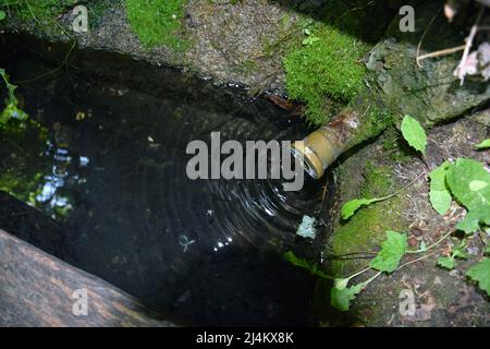Un flusso scorre fuori da un tubo di sorgente con acqua fresca pulita in un piccolo serbatoio e diverge sulla superficie dell'acqua in cerchi. Foto Stock
