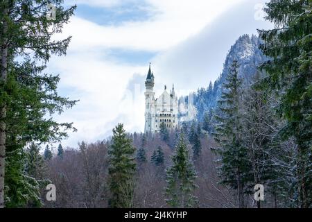 Castello di Neuschwanstein in un bel paesaggio invernale ghiacciato con pini Foto Stock