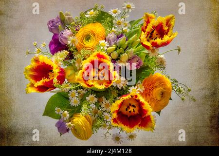 CONCETTO DI ARTE FLOREALE: Disposizione di fiori di primavera colorati Foto Stock