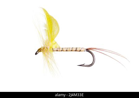 Pesca Fly isolato contro uno sfondo bianco Foto Stock
