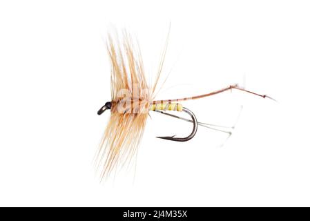Pesca Fly isolato su sfondo bianco Foto Stock