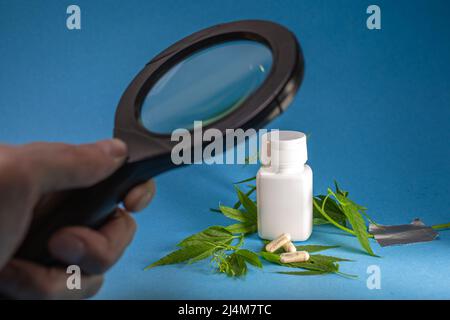 coltivare un cespuglio di marijuana sotto una lente d'ingrandimento Foto Stock