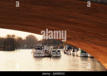 File di piccole imbarcazioni da diporto ormeggiate vicino al ponte Hampton Court sul Tamigi nel tardo pomeriggio, sole primaverile Foto Stock