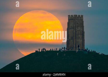 Glastonbury, Somerset, Regno Unito. 16th aprile 2022. Meteo Regno Unito. La Luna Rosa piena si innalza nel cielo della sera da dietro la St Michael’s Tower a Glastonbury Tor nel Somerset, mentre la gente si alza in cima e la guarda crescere. Picture Credit: Graham Hunt/Alamy Live News Foto Stock