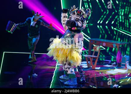 Colonia, Germania. 16th Apr 2022. Il personaggio 'The Zebra' è sul palco del programma ProSieben 'The Masked Singer'. Credit: Thomas Banneyer/dpa/Alamy Live News Foto Stock