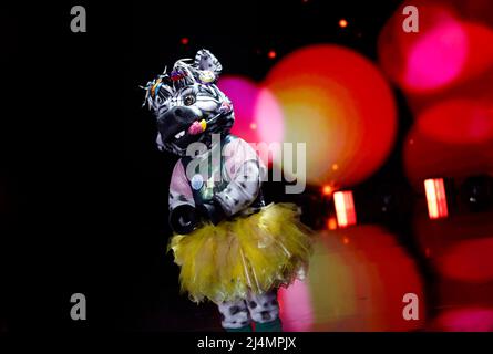 Colonia, Germania. 16th Apr 2022. Il personaggio 'The Zebra' è sul palco del programma ProSieben 'The Masked Singer'. Credit: Thomas Banneyer/dpa/Alamy Live News Foto Stock