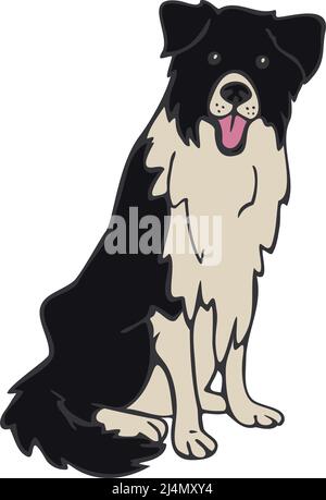 Illustrazione vettoriale della collie del bordo. Cane disegnato a mano. Illustrazione Vettoriale