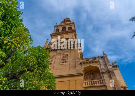 Torre del Alminar Campanile della Cattedrale mezquita nella città spagnola di siviglia Foto Stock