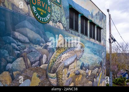 Murale della parete di pesca del mosca che caratterizza una trota dell'arcobaleno a Hunter Banks Co., un outfitter di pesca del mosca di Orvis, ad Asheville, Carolina del Nord. (USA) Foto Stock