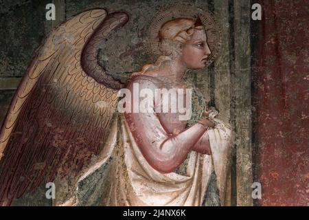 L'arcangelo Gabriele si inginocchia, braccia ripiegate, in dettaglio dalla fine del 1300s o inizio del 1400s Annunciazione affresco nella Chiesa di San Domenico ad Arezzo, Toscana, Italia. L'opera è attribuita all'artista rinascimentale primoricinista Spinello Aretino (c.. 1350 - c. 1410), un pittore influente che affrescò chiese in tutta la Toscana tra la fine del '14th e l'inizio del '15th. Foto Stock