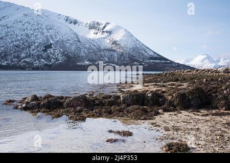 Vista da Revnes nelle Isole Vesteralen della Norvegia Foto Stock