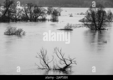 Il fiume Protva alluvione a Drakino vicino alla confluenza con il fiume Oka Foto Stock