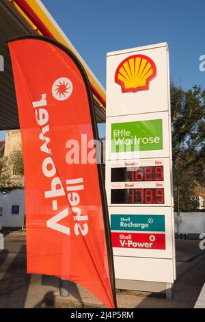 Un colorato piazzale garage Shell e prezzi stravaganti pompe benzina a Roehampton, Londra, Inghilterra, Regno Unito Foto Stock