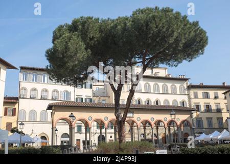 Piazza dei Ciompi Firenze Foto Stock