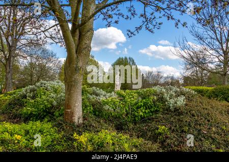 Statua di San Riccardo di Droitwich in Vine's Park, Droitwich Spa, Worcestershire. Foto Stock