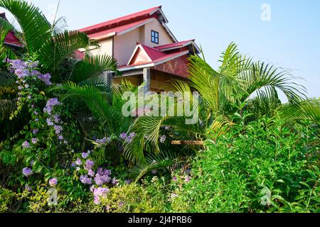 Resort dal tetto rosso con lussureggiante ambiente verde, Lataguri West Bengala. Foto Stock