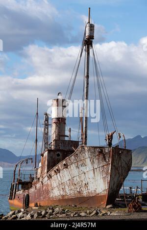 Georgia del Sud, King Edward Cove, Grytviken. Storica stazione di caccia alle balene. Vecchia nave da caccia, il Petrel. Foto Stock