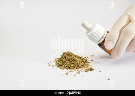 bottiglia contagocce di olio di marijuana nelle mani del medico con marijuana schiacciata in mucchio, fondo bianco Foto Stock