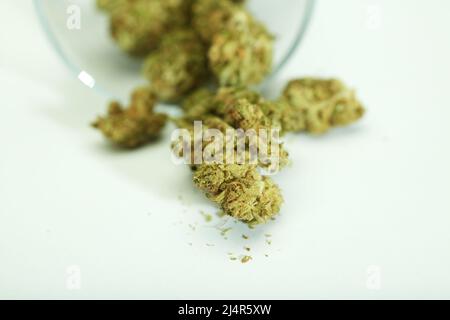 boccioli di marijuana che escono dal contenitore di vetro su sfondo bianco , spazio per il testo. Foto Stock