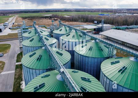 Elevatore di silos agricoli per l'essiccazione, la pulizia e lo stoccaggio della granella. Foto Stock