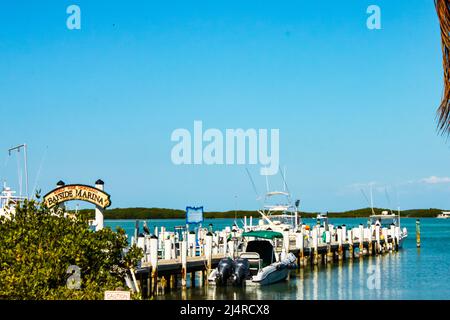 Bayside Marina con le barche legate in su e le reflezioni in acqua a Islamorada nelle chiavi in Florida Stati Uniti Gennaio 26 2011 Foto Stock