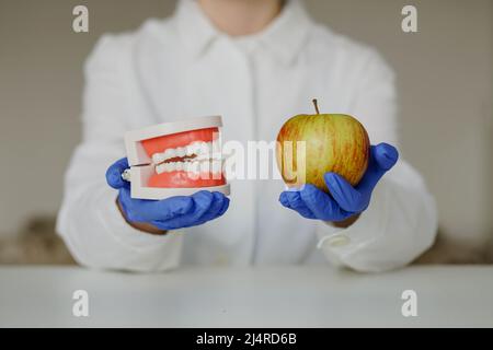 Mani del dentista che mostrano il modello dei denti della mascella e della mela per le istruzioni su come curare i denti sani per il paziente. Primo piano. Foto Stock