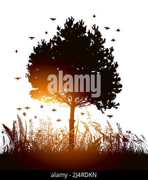 Pino nell'erba al tramonto. Illustrazione vettoriale Illustrazione Vettoriale