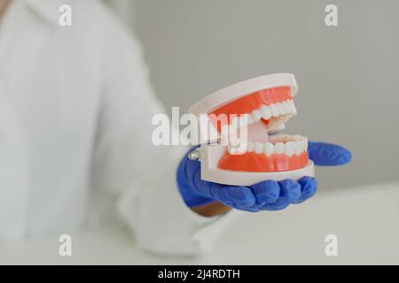 Donna dentista ortodontista in camice bianco da laboratorio che tiene in mano il modello del dente della mandibola. Concetto di igiene orale. Foto Stock