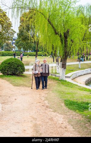 Uomo anziano e Donna che cammina fuori. Una coppia anziana, di 80 anni, che si aiutano a vicenda, braccio in braccio, sta camminando su un parco, una donna che tiene una camminata s Foto Stock