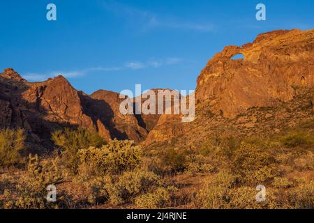 Arch Canyon, Ajo Mountain Drive, Organ Pipe Cactus National Monument, Arizona. Foto Stock