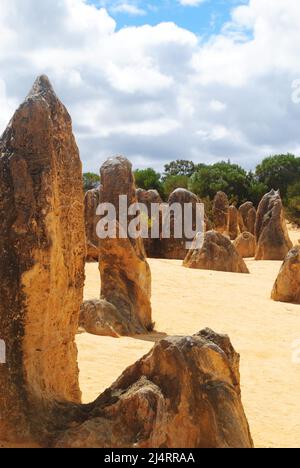 I pinnacoli, Nambung National Park, Australia Foto Stock