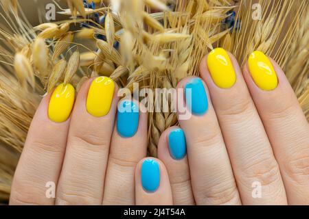 Le dita con manicure blu-giallo applicato trattengono le unghie gel lucidante in stile ucraino Foto Stock