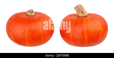 percorso di squash rosso kuri isolato su bianco Foto Stock