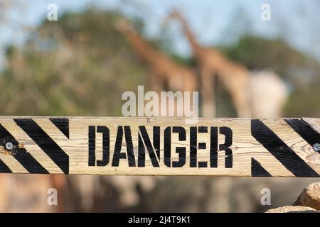 Parola pericolo scritto su una tavola di legno in uno zoo o parco nazionale con animali sfocati sullo sfondo Foto Stock