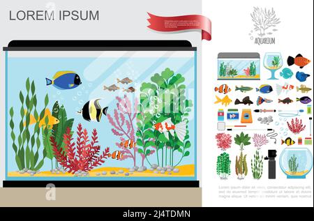 Appartamento bella composizione acquario con pesci luminosi attrezzature per la pulizia alimentare lampada termometro con alghe e pietre vettoriali Illustrazione Vettoriale