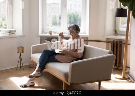 La donna anziana che usa un notebook saluta l'amico che ha una videochiamata Foto Stock