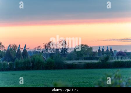 Golden Green, Kent, Inghilterra. 17 aprile 2022. Domenica di Pasqua tramonto nella splendida campagna kentish con le case Oast situato dietro la frutticoltura in campagna nella lussureggiante contea conosciuta come il giardino d'Inghilterra, Kent.©Sarah Mott / Alamy Live News Foto Stock