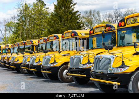 Rothsville, PA, USA - 17 aprile 2022: Una flotta di autobus gialli da scuola parcheggiati in un villaggio rurale nella contea di Lancaster, Pennsylvania. Foto Stock